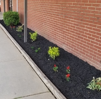 Special Thanks for Landscape Services